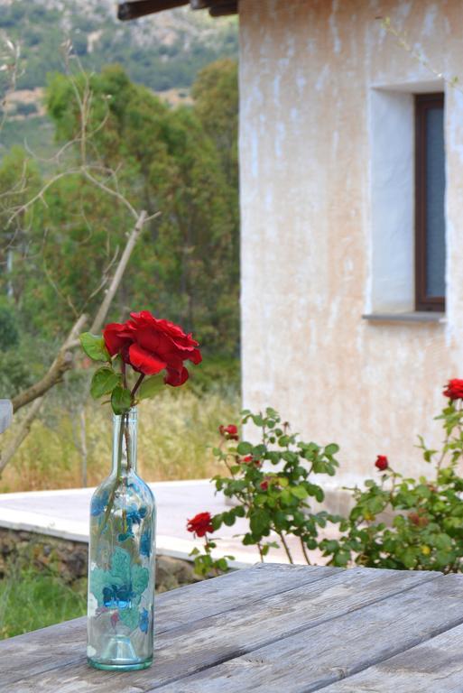 Agriturismo Rubinu Галтеллі Номер фото